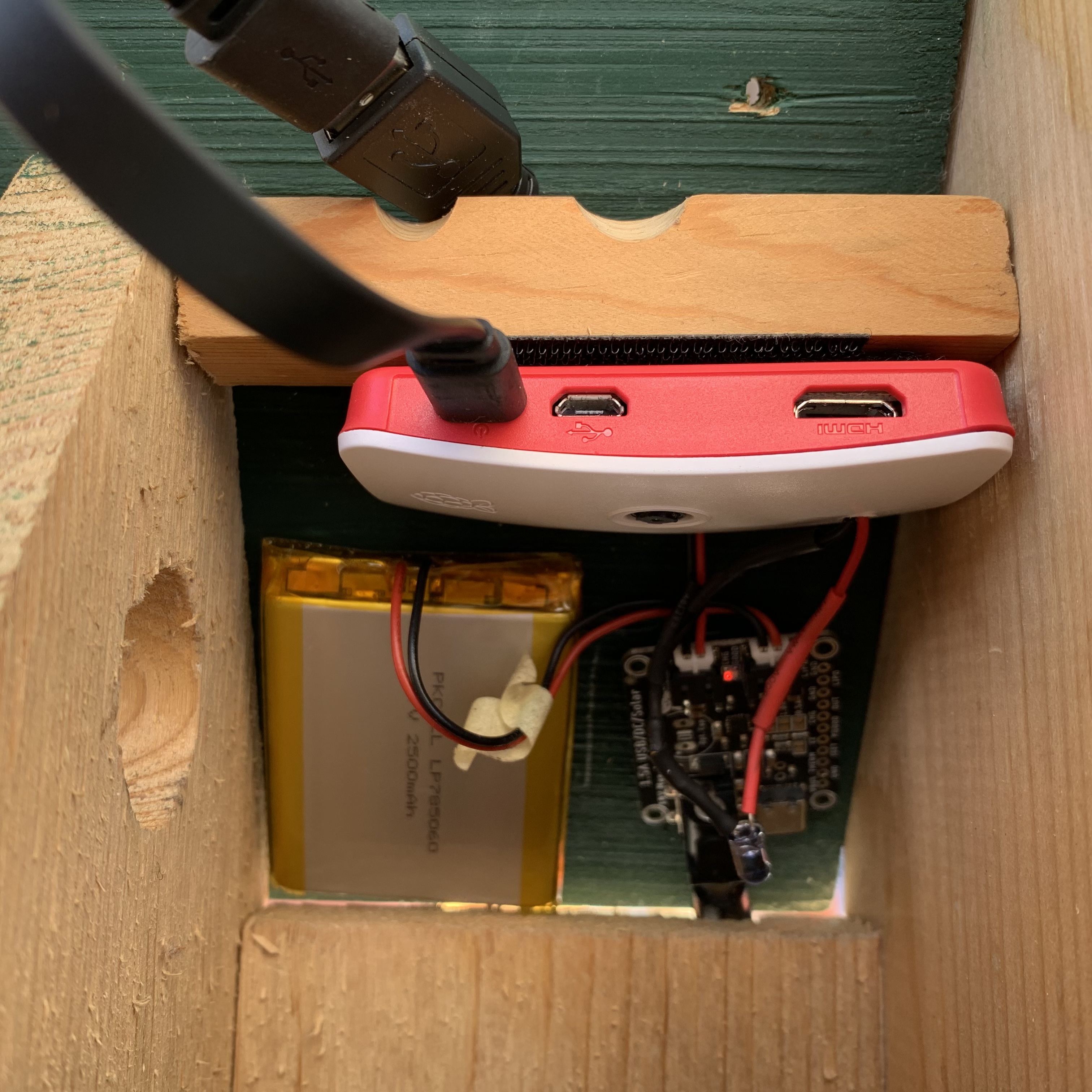 Interior of birdhouse showing Raspberry Pi and other electronics